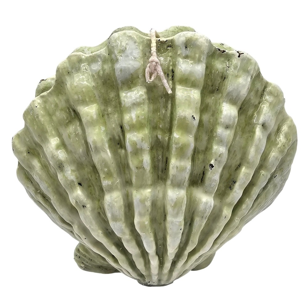 Vintage Sage Green Scallop Seashell Decorative Candle Coastal Beach Decor